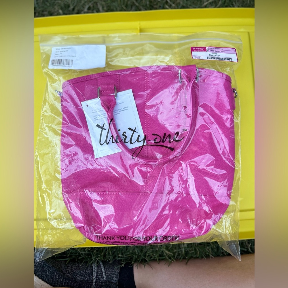 Pink Paris purse